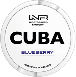 Buy Cuba Blueberry nicotine pouches in the Philippines