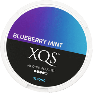 XQS Blueberry Mint Nicotine Pouches is now in the Philippines