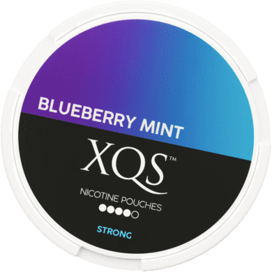 XQS Blueberry Mint Nicotine Pouches is now in the Philippines